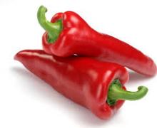 Paprika roční